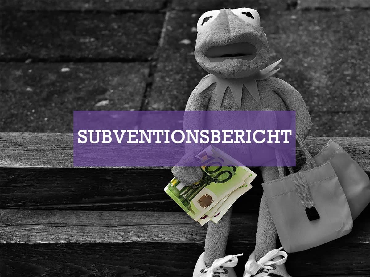 Subventionsbericht 2015
