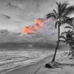 Paradise Papers - Fluch der Karibik für Flöttl? - pixabay