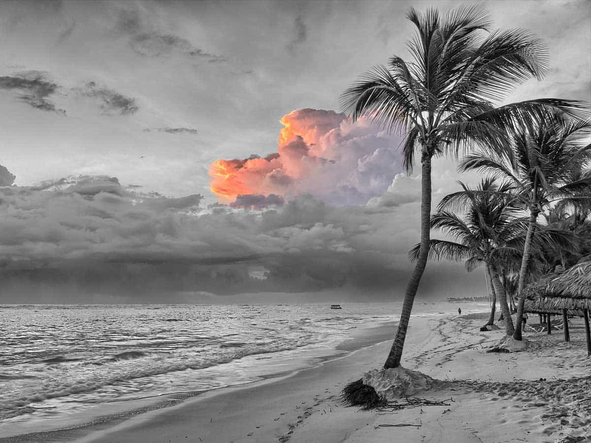 Paradise Papers - Fluch der Karibik für Flöttl? - pixabay
