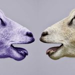 FPÖ vs. DAÖ Bruderkrieg in der blauen Familie - Foto pixabay