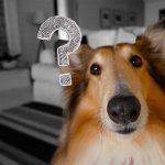 Trotz Quellenschutz - Warum befragt das BAK einen Herausgeber - Foto pixabay