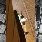 Kujtim Fejzulai beim Terroranschlag - Waffenfotos vom LPD Wien
