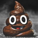 Flood the zone with shit - pixabay