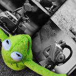 Sujetbild Kulturpreis Kermit - Alexas_Fotos - Pixabay