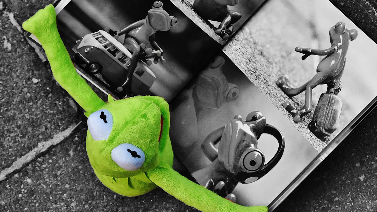 Sujetbild Kulturpreis Kermit - Alexas_Fotos - Pixabay