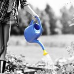 Sujetbild gelb-blaue Gießkanne - Kalim - Adobe Stock