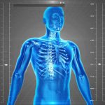 Sujetbild Gesundheitsdaten - PublicDomainPictures - Pixabay