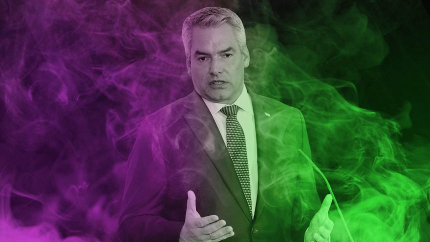 Karl Nehammer erwägt - SEPA Media - Martin Juen