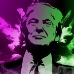 Donald Trump - Pixabay