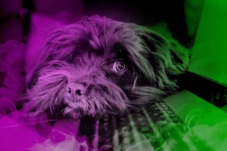 Sujetbild Kontakt - Martine Auvray - Pixabay