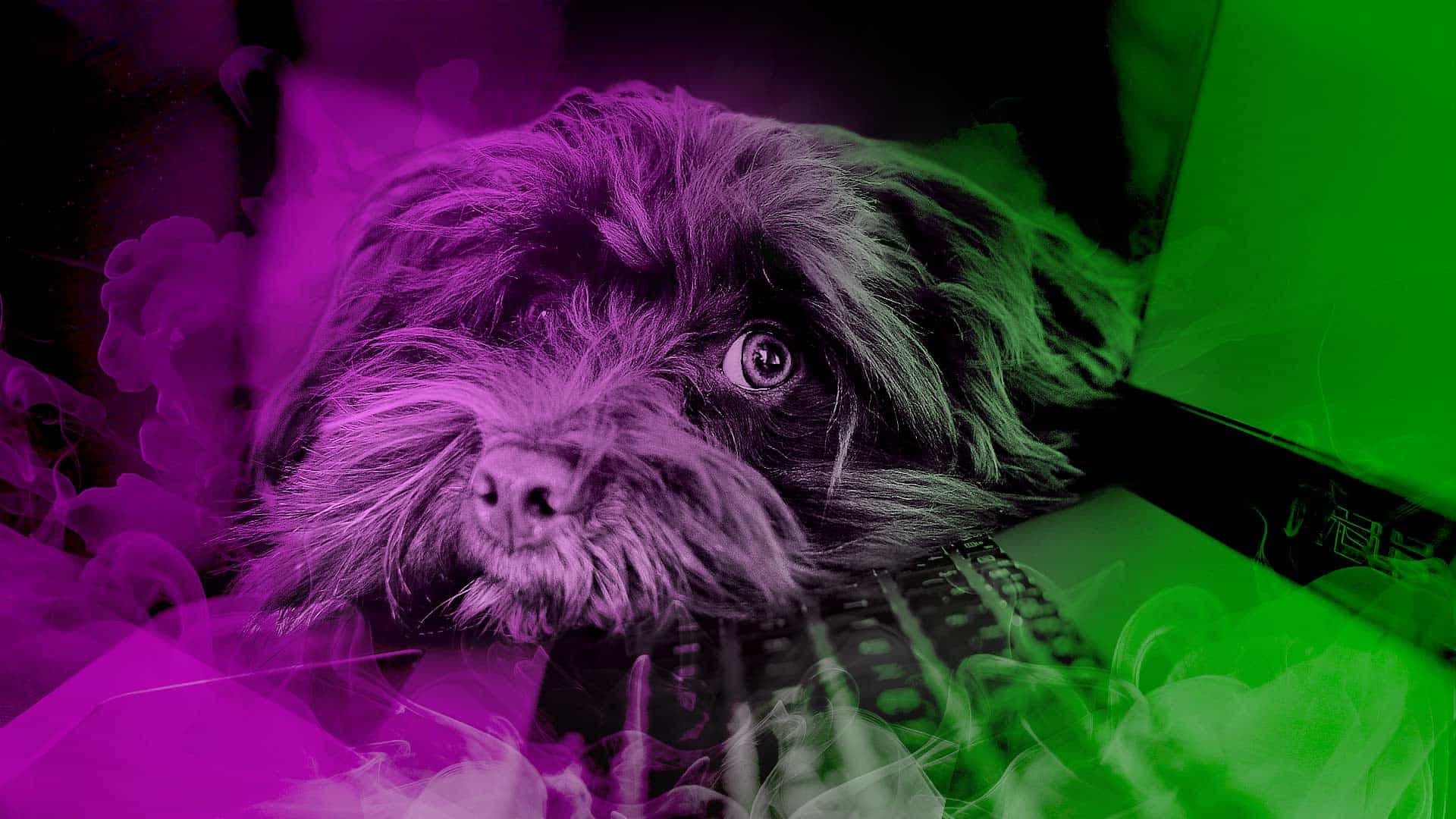 Sujetbild Kontakt - Martine Auvray - Pixabay