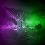 Sujetbild Hoffnung - Luaks Johnns - Pixabay