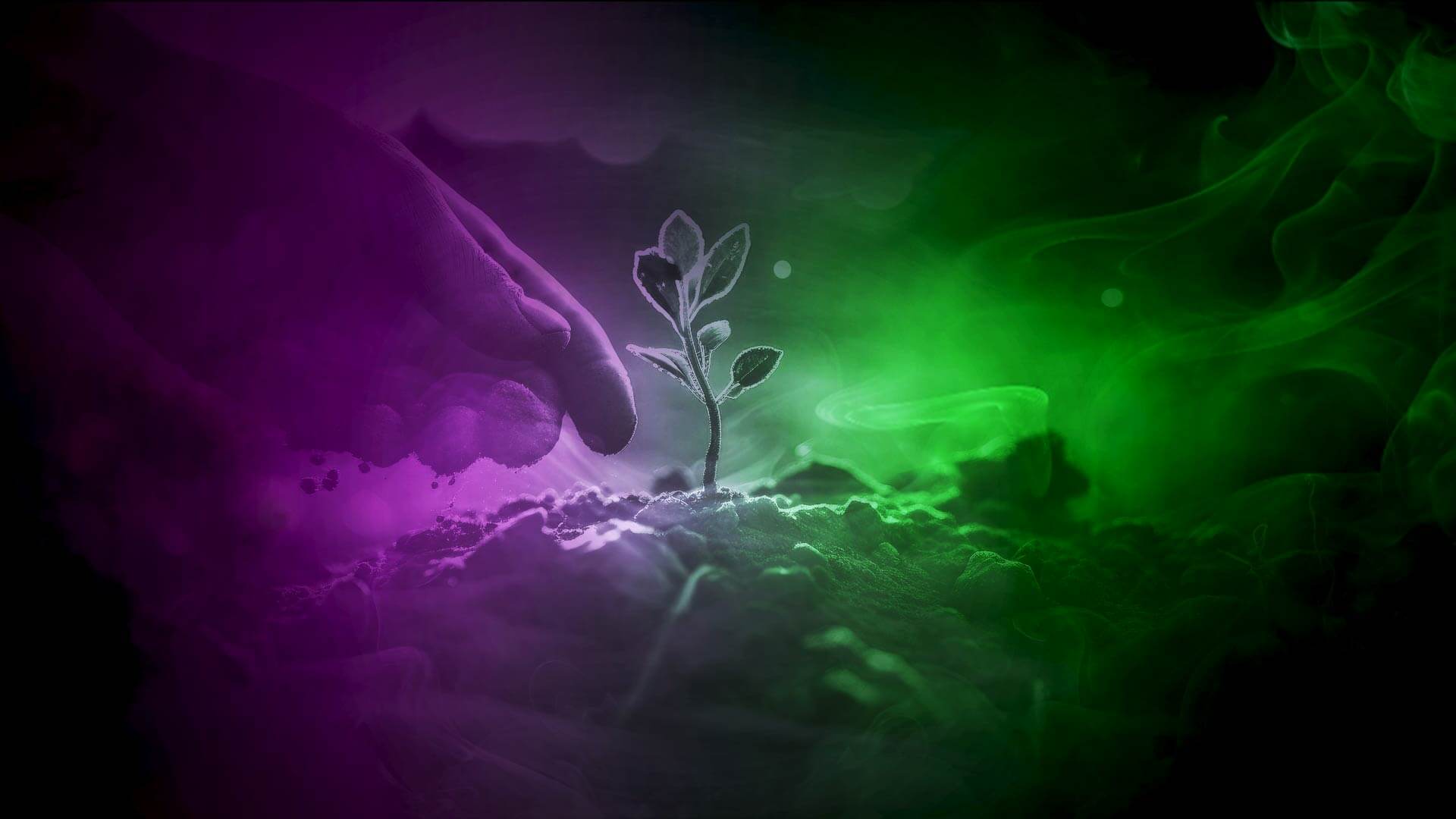 Sujetbild Hoffnung - Luaks Johnns - Pixabay