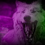 Sujetbild Wolf - Christel SAGNIEZ - Pixabay