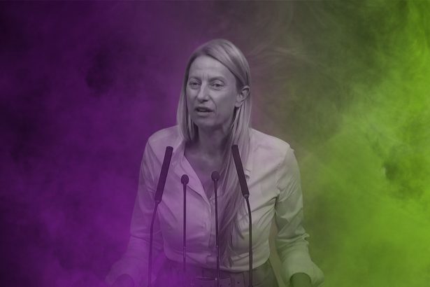 Juliane Bogner-Strauß