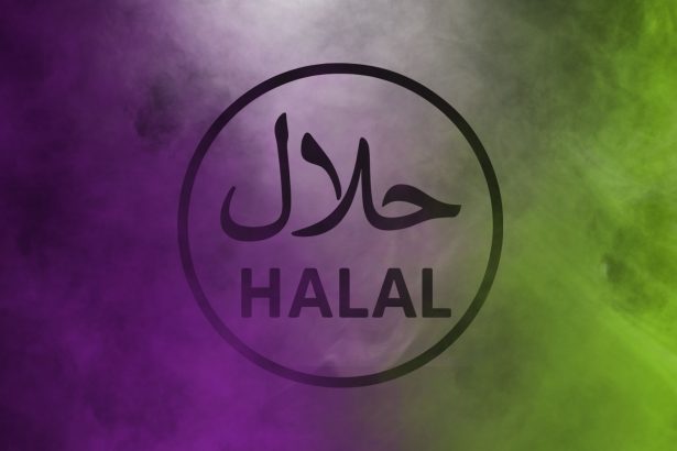 Scharia und Halal - Hanna - Adobe Stock - FoB Style