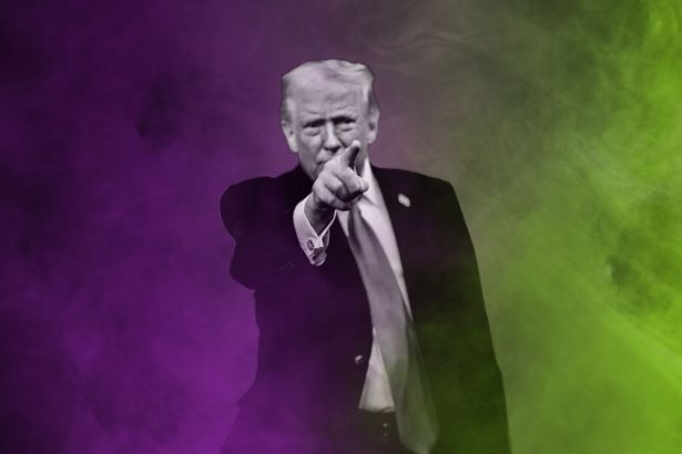 Donald Trump - White-House - FoB Style