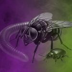 Sujetbild Insekten - Grok - FoB Style