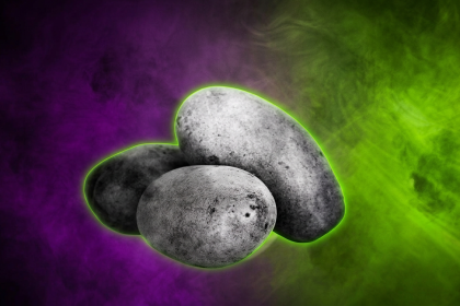 Sujetbild Kartoffel -PublicDomainPictures - Pixabay - Runway FoB AI