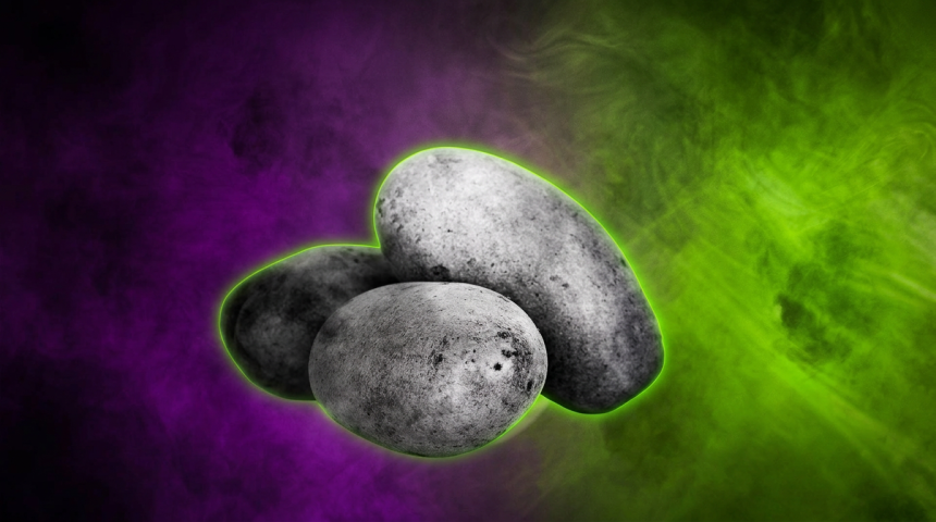 Sujetbild Kartoffel -PublicDomainPictures - Pixabay - Runway FoB AI