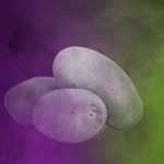 Sujetbild Kartoffeln - PublicDomainPictures - Pixabay