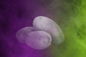 Sujetbild Kartoffeln - PublicDomainPictures - Pixabay