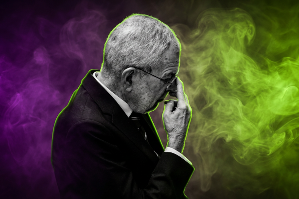 Alexander van der Bellen - Sepa Media - Martien Juen - Runway FoB AI