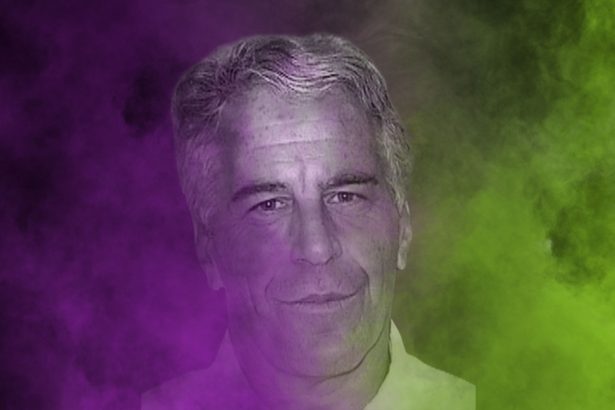 Jeffrey Epstein - Mug Shot - Palm Beach County Sheriff's Department - FoB Style
