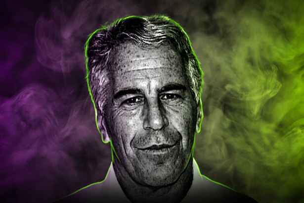 Jeffrey Epstein - Mug Shot - Palm Beach County Sheriff's Department - Runway FoB AI