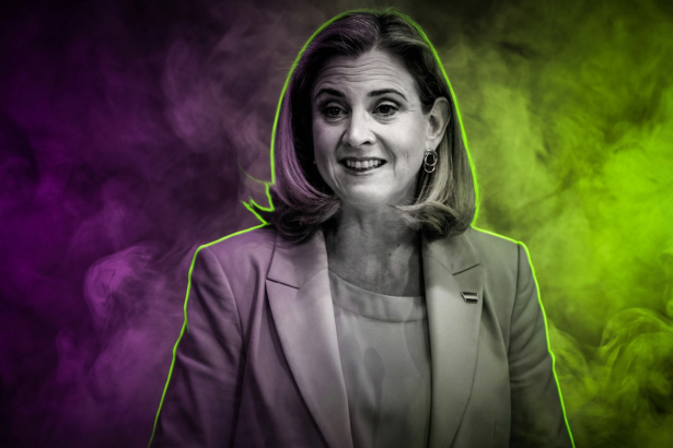 Beate Meinl-Reisinger - Michael Indra - Sepa Media - Runway FoB AI