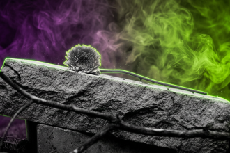 Sujetbild Grabstein - Hans Bijstra - Pixabay - Runway FoB AI