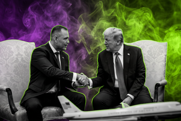 Sujetbild Polen Karol Nawrocki und Donald Trump - White House - Runway FoB AI