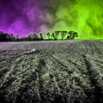 Sujetbild Acker und Landwirtschaft - Pexels - Tom Fisk - Runway FoB AI