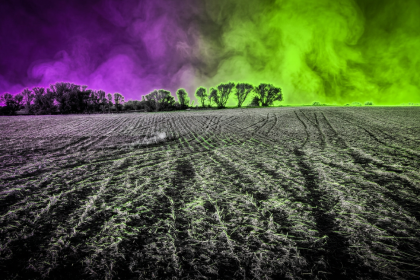 Sujetbild Acker und Landwirtschaft - Pexels - Tom Fisk - Runway FoB AI