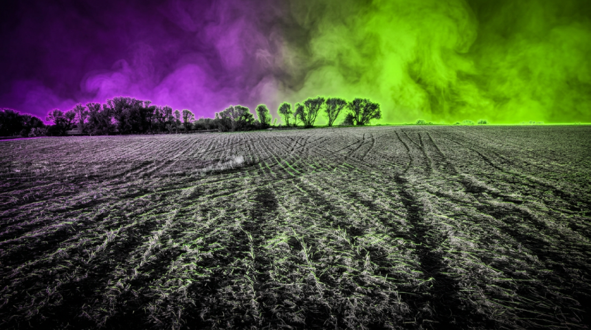 Sujetbild Acker und Landwirtschaft - Pexels - Tom Fisk - Runway FoB AI